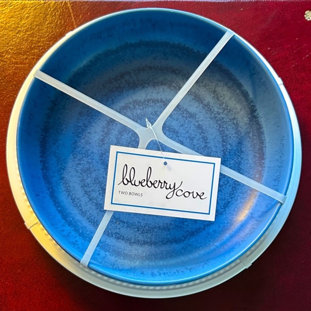 Set of 2 Blue Melamine Large Low Profile Bowls (Total 4 Available) New With Tags
